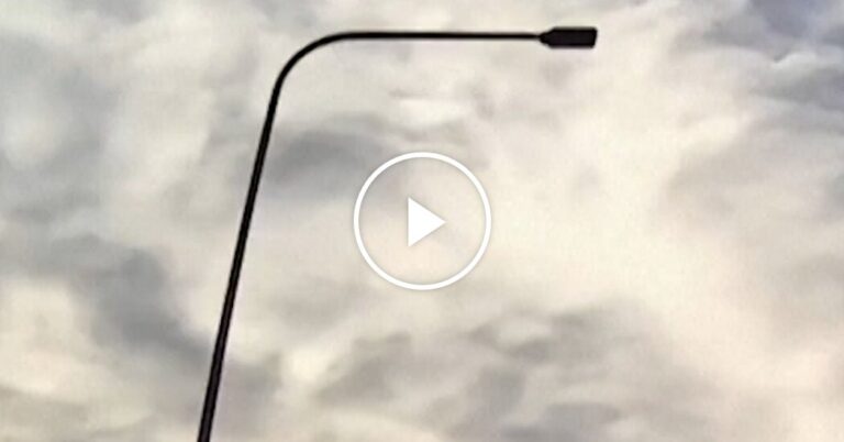 New Footage Shows Couple Confronting Suspected Gunman in Bondi