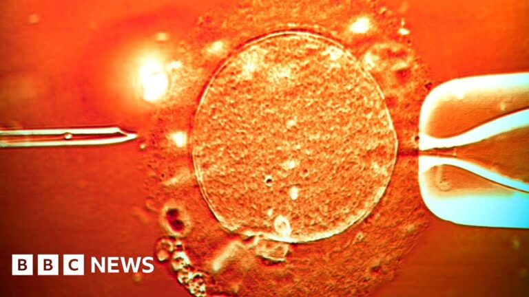 Donor sperm with cancer-causing gene used to conceive nearly 200 children