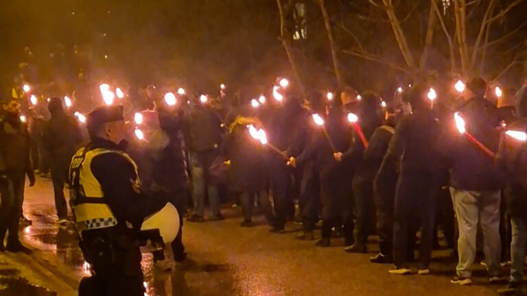 Neo-Nazis in Sweden’s capital stage a resurgent march against multiculturalism | Al Jazeera