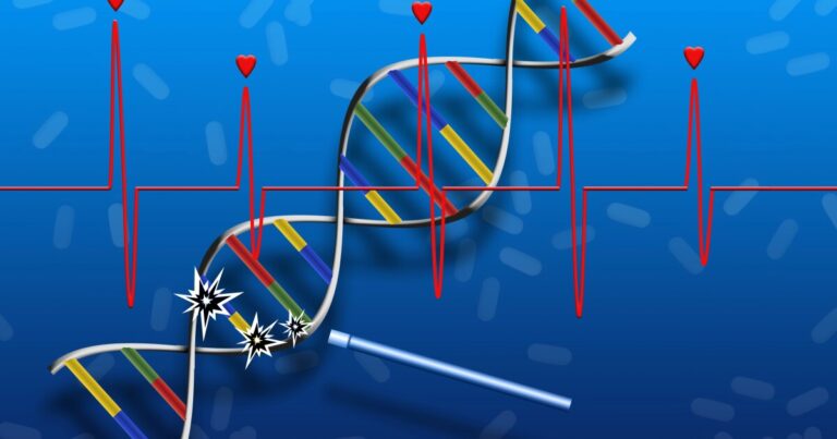 Potential DNA Repair Drug Could Heal Tissue Damage, a Groundbreaking Discovery