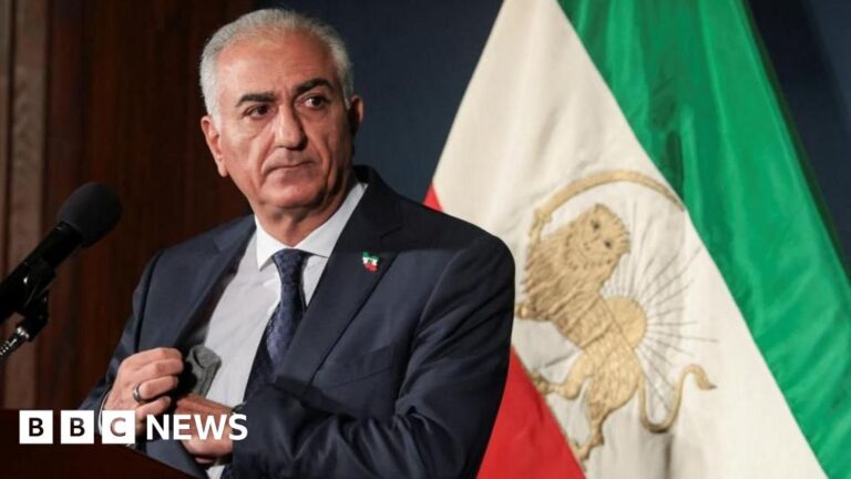 Exiled Crown Prince Calls on World to Support Protesters in Overthrowing Iranian Government