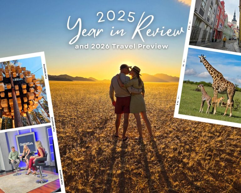 Reviewing 2025 and Previewing 2026 Travel