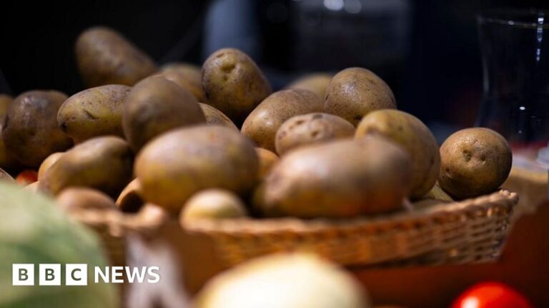 Anyone Want Some Chips? German Farm Donates Millions of Potatoes After Record Harvest