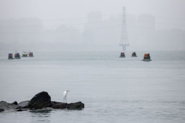 Analysts: US strike on Venezuela could strengthen China’s territorial claims, Taiwan attack unlikely