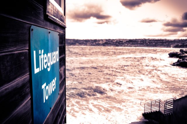 Open Water Swimmer Erica Fox Dies in Shark Attack Off the Coast of Santa Cruz