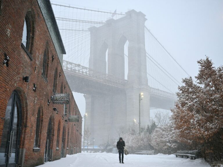 Widespread Power Outages and Flight Cancellations Caused by US Storm | Weather News