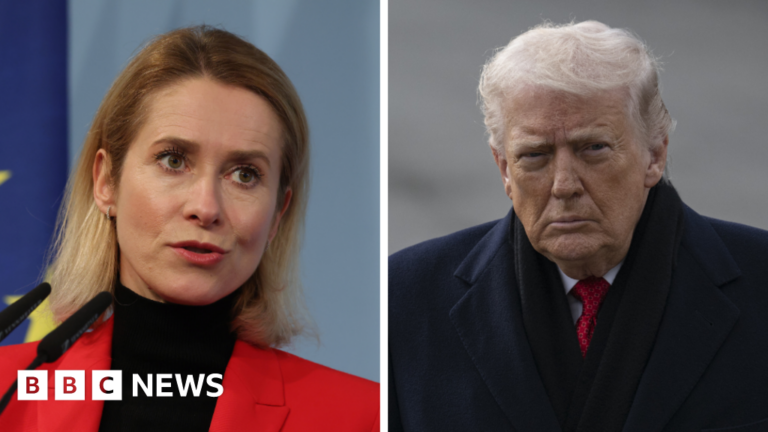 Trump reaffirms commitment to imposing tariffs on Greenland, EU promises to defend its interests