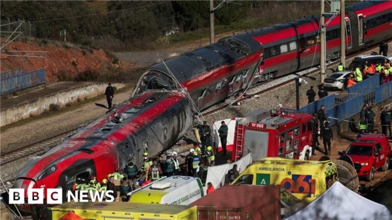 Insights into Spain’s deadliest train accident in more than ten years