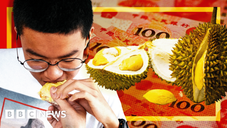 Town capitalizing on China’s billion-dollar demand for premium durian