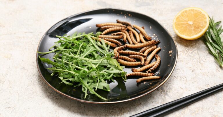 Scientists suggest Neanderthals consumed maggots