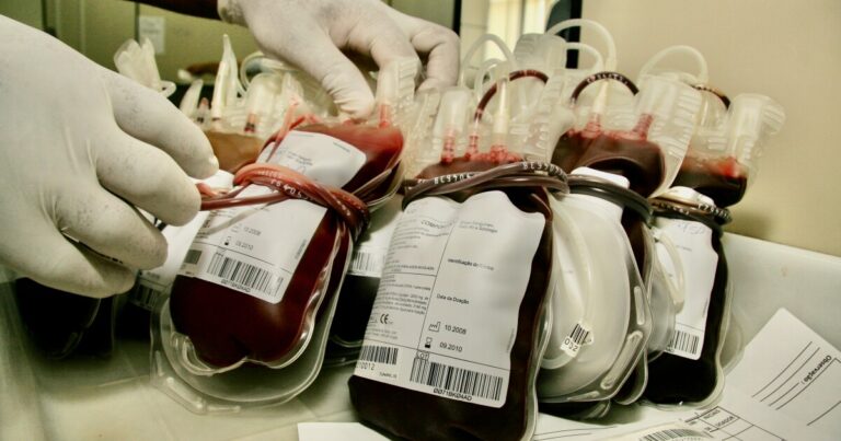 New chip examines the quality of blood cells for transfusion