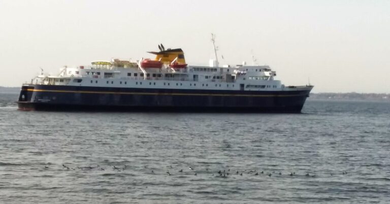 AI and Radar Technology Help Prevent Complex Ship Collisions